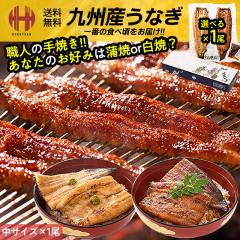 ���Ȃ� �V ���Y ���Ă� ���� 1�� ��Ă� �V�̊��� ���Ȃ����� ��B�Y �{�茧�Y ���������Y ���T�C�Y 110g�`160g�~1�� ���Ă� �M�t�g ����