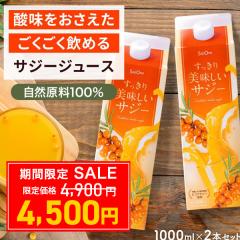 �ySALE400�~OFF�z�T�W�[�W���[�X ����������������T�W�[ 1000ml 2�{�Z�b�g �S�� �T�W�[���� �I�����W �䂸 ���݂₷�� �r�^�~��C �A�~�m