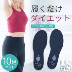 10�Z�b�g BMZ �R�A���C�g �C���\�[�� �V�F�C�v�A�b�v �X���� �C���\�[�� o�r �̊� �q�� �R�A���C�g �C���\�[�� �C �_�C�G�b�g �g���[�j��