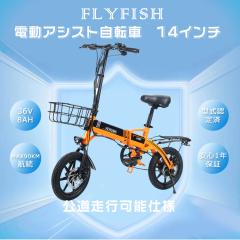 14inch-ebike-350w-yj-7.jpg