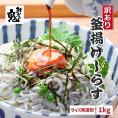 【16時まで当日発送】しらす 網元 訳あり 釜揚げしらす 1kg わけあり かまあげ しらす ギフト プレゼント 徳用 海鮮丼 海鮮 どんぶり