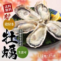 【16時まで当日発送】かき 生食用牡蠣 12個入 スマート オイスター 生かき 刺身 殻付き 冷凍 全国送料無料 かき 牡蠣