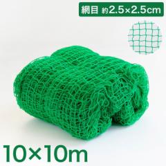 バックネット 野球 10×10m 網目2.5cm グリーン 防球ネット ネット 保護用ネット 多目的ネット ゴルフネットバッティ