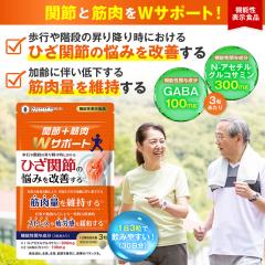 N�A�Z�`���O���R�T�~�� GABA �@�\���\���H�i �Ђ��֐߂̔Y�݉��P �ؓ��ʈێ� �֐߁{�ؓ�W�T�|�[�g �T�v�� �X�g���X ��J���ɘa �M���o �v