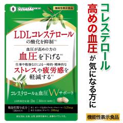 ���ʁiLDL�j�R���X�e���[�� ������������ �X�g���X ��J���y�� �T�v�� �R���X�e���[��������W�T�|�[�g �I���[�u �M���o GABA �@�\���\��