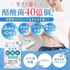 ���_�� �T�v�� ���_�� �r�t�B�Y�X�� �[���� ���������_��40���� �I���S�� �C�k���� ��������f�L�X�g���� �v���o�C�I�e�B�N�X 30���� ��