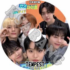 K-POP DVD TEMPEST TԃACh 2024.03.13 {ꎚ TEMPEST eyXg nr q\v E` qN [ t@ 