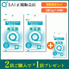 �L���[�T�C �P�ʋ� 1g�~14�{ 2�� �{1�܃v���[���g �T�v�� �L�E�q�����_�� ���[�O���g�� �����Ē��܂œ͂�