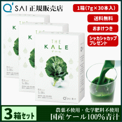 �` 19������ �L���[�T�C �U�E�P�[�� ���� 7g�~30�{ 3���܂Ƃߔ��� �{���܂��t ���N���� ���� ���Y �P�[��100�� �_��s�g�p ��p�V�F�C