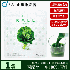 �` �L���[�T�C �U�E�P�[�� ���� 420g �{���܂��t ���N���� ���Y �P�[��100�� �_��s�g�p ��p�X�v�[�����V�F�C�J�[�t