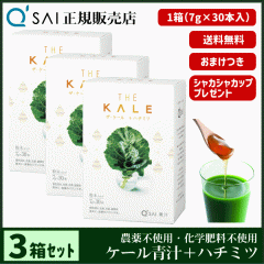 �` 19������ �L���[�T�C �U�E�P�[���{�n�`�~�c 7g�~30�{ 3���܂Ƃߔ��� �{���܂��t ���N���� ���� ���Y �I���z�� �_��s�g�p ��p�V�F