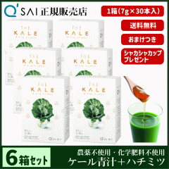 �` 23������ �L���[�T�C �U�E�P�[���{�n�`�~�c 7g�~30�{ 6���܂Ƃߔ��� �{���܂��t ���N���� ���� ���Y �I���z�� �_��s�g�p ��p�V�F