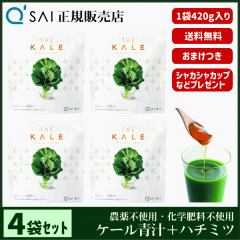 �` 21������ �L���[�T�C �U�E�P�[���{�n�`�~�c 420g 4�܂܂Ƃߔ��� �{���܂��t ���N���� ���Y �I���z�� �_��s�g�p ��p�X�v�[�����V�F