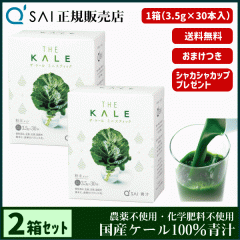 �` 16������ �L���[�T�C �U�E�P�[�� �~�j�X�e�B�b�N 3.5g�~30�{ 2���܂Ƃߔ��� �{���܂��t ���N���� ���Y �P�[��100�� �_��s�g�p ��p