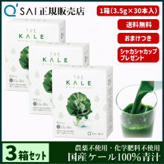 �` 19������ �L���[�T�C �U�E�P�[�� �~�j�X�e�B�b�N 3.5g�~30�{ 3���܂Ƃߔ��� �{���܂��t ���N���� ���Y �P�[��100�� �_��s�g�p ��p