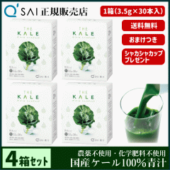 �` 22������ �L���[�T�C �U�E�P�[�� �~�j�X�e�B�b�N 3.5g�~30�{ 4���܂Ƃߔ��� �{���܂��t ���N���� ���Y �P�[��100�� �_��s�g�p ��p