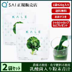 �` 16������ �L���[�T�C �U�E�P�[���{���_�� 420g 2�܂܂Ƃߔ��� �{���܂��t ���N���� ���Y �P�ʋ۔z�� �_��s�g�p ��p�X�v�[�����V�F