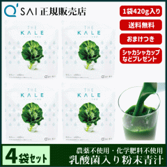 �` 23������ �L���[�T�C �U�E�P�[���{���_�� 420g 4�܂܂Ƃߔ��� �{���܂��t ���N���� ���Y �P�ʋ۔z�� �_��s�g�p ��p�X�v�[�����V�F