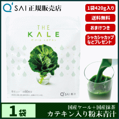 �` 14������ �L���[�T�C �U�E�P�[���{�J�e�L�� 420g �{���܂��t ���N���� ���Y �����z�� ��p�X�v�[�����V�F�C�J�[�t