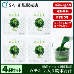 �` 23������ �L���[�T�C �U�E�P�[���{�J�e�L�� 420g 4�܂܂Ƃߔ��� �{���܂��t ���N���� ���Y �����z�� ��p�X�v�[�����V�F�C�J�[�t