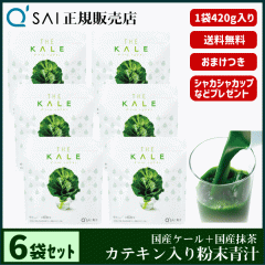 �` 24������ �L���[�T�C �U�E�P�[���{�J�e�L�� 420g 6�܂܂Ƃߔ��� �{���܂��t ���N���� ���Y �����z�� ��p�X�v�[�����V�F�C�J�[�t