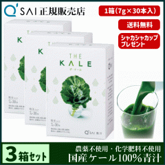 �` 19������ �L���[�T�C �U�E�P�[�� ���� 7g�~30�{ 3���܂Ƃߔ��� ���N���� �X�e�B�b�N ���Y �P�[��100�� �_��s�g�p ��p�V�F�C�J�[�t