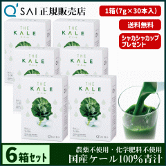 �` 23������ �L���[�T�C �U�E�P�[�� ���� 7g�~30�{ 6���܂Ƃߔ��� ���N���� �X�e�B�b�N ���Y �P�[��100�� �_��s�g�p ��p�V�F�C�J�[�t
