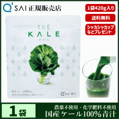 �` 14������ �L���[�T�C �U�E�P�[�� ���� 420g ���N���� ���Y �P�[��100�� �_��s�g�p ��p�X�v�[�����V�F�C�J�[�t
