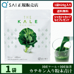 �` 14������ �L���[�T�C �U�E�P�[���{�J�e�L�� 420g ���N���� ���Y �����z�� ��p�X�v�[�����V�F�C�J�[�t