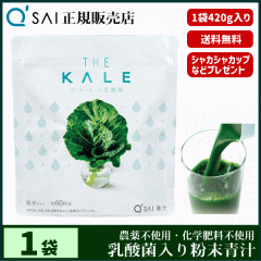 �` 14������ �L���[�T�C �U�E�P�[���{���_�� 420g ���N���� ���Y �P�ʋ۔z�� �_��s�g�p ��p�X�v�[�����V�F�C�J�[�t