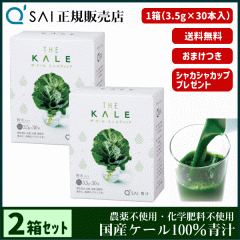 �` 16������ �L���[�T�C �U�E�P�[�� �~�j�X�e�B�b�N 3.5g�~30�{ 2���܂Ƃߔ��� �{���܂��t ���N���� ���Y �P�[��100�� �_��s�g�p ��p