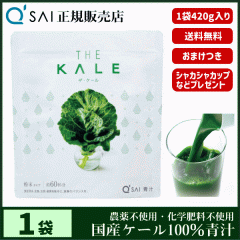 �` �L���[�T�C �U�E�P�[�� ���� 420g �{���܂��t ���N���� ���Y �P�[��100�� �_��s�g�p ��p�X�v�[�����V�F�C�J�[�t