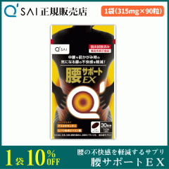 �L���[�T�C ���T�|�[�gEX 315mg�~90�� �T�v�� ���̕s�������y�� �@�\���\���H�i �A�X�^�L�T���`���z��