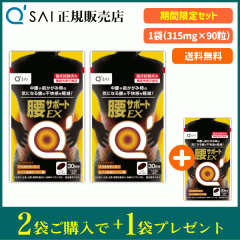 �L���[�T�C ���T�|�[�gEX 315mg�~90�� 2�� �{����1�܃v���[���g �T�v�� ���̕s�������y�� �@�\���\���H�i �A�X�^�L�T���`���z��