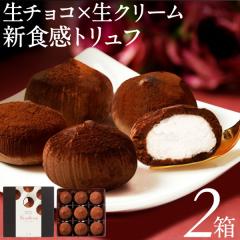 チョコレート お中元 ギフト チョコ 生チョコ トリュフ シャンティ ショコラ 9個入 2箱 送料無料 敬老の日 プレゼント 2025 誕生日 スイ
