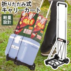 I】アルインコ ALINCO キャンプ台車 TREC100S 3WAY トレッカート 台車