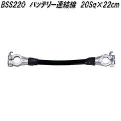 �厩�H�Ɓ@20SQ BSS 220�@�o�b�e���[�A�����@22cm�y�l�R�|�X�Ή��i�z�y�����񂹏��i�z�o�b�e���[�@�^�[�~�i��