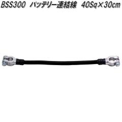 �厩�H�Ɓ@40SQ BSS 300�@�o�b�e���[�A�����@30cm�y�l�R�|�X�Ή��i�z�y�����񂹏��i�z�o�b�e���[�@�^�[�~�i��