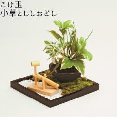 �t���[���b�N�X�@KD-274�@�����ʘa���뉀�@�����Ƃ������ǂ��y���[�J�[�����i�z�y����/����s�z�yFLOREX�@�����ʁ@�ۋʁz