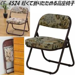 �t�O�^�N���t�g�@CF-4254�@�y���Đ܂肽���߂鍂���֎q �u���E���y��������(�k�C���E����E����������)�z�y�����i�z�y���[�J�[�����i�z�y