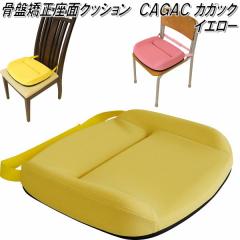 K-CGC-323 �w�K�N�b�V�����@�J�K�b�N�@CAGAC M �C�G���[�y��������(�k�C���E����E����������)�z�y���[�J�[�����z�y�����^����s�z�y��