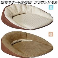 K-SSZ-122 �卜�T�|�[�g���z�c�@�u���E���~���J�y��������(�k�C���E����E����������)�z�y���[�J�[�����z�y�����^����s�z�y�ەH�H�Ɓ@