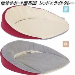 K-SSZ-154 �卜�T�|�[�g���z�c�@���b�h�~���C�g�O���[�y��������(�k�C���E����E����������)�z�y���[�J�[�����z�y�����^����s�z�y�ەH