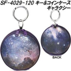 �Z�g�N���t�g SF-4029-120�@�L�[&�R�C���P�[�X�@�M�����N�V�[ SF4029�y�����񂹁z�y�L�[�P�[�X�@�R�C���P�[�X�@������@���K����z