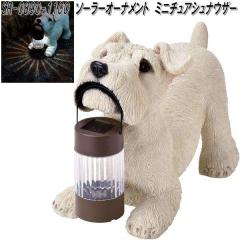 �Z�g�N���t�g SR-0890-1100�@�\�[���[�I�[�i�����g�@�~�j�`���A�V���i�E�U�[�@SR0890�y��������(����E����������)�z�y�����񂹕i�z�y