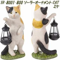 �Z�g�N���t�g SR-8001-800�@�\�[���[�I�[�i�����g �L���b�g �~�P SR8001�y�u���@�\�[���[���C�g�@���[�h�����v�@���|�z