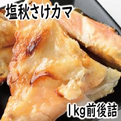 2025�@�M�t�g�@�k�C���Y�@���H���̃J�}1k���O��l�i10���O��j���������@