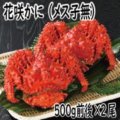 �M�t�g�@�ԍ�K�j�@���Ɂ@�I�@�J�j�@�ԍ炩��(���X�q��) 500g�O��~2���@��Ε�@�k�C���Y