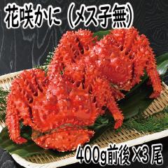 �M�t�g�@�ԍ�K�j�@���Ɂ@�I�@�J�j�@�ԍ炩�Ɂi���X�j400���O��~3���@�k�C���Y�@���Ε�@