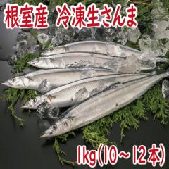 ����܁@����܁@�Ⓚ�������1�����i10�`12�{�j�@�k�C���Y�@���Ε�@���������@